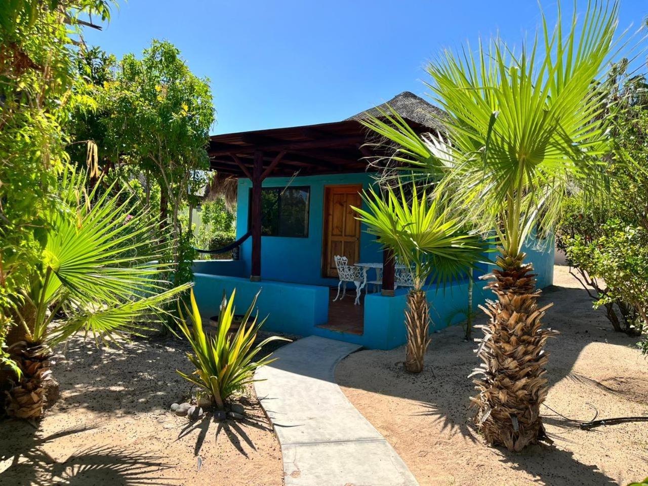 Cabo Pulmo Beach Resort Zewnętrze zdjęcie