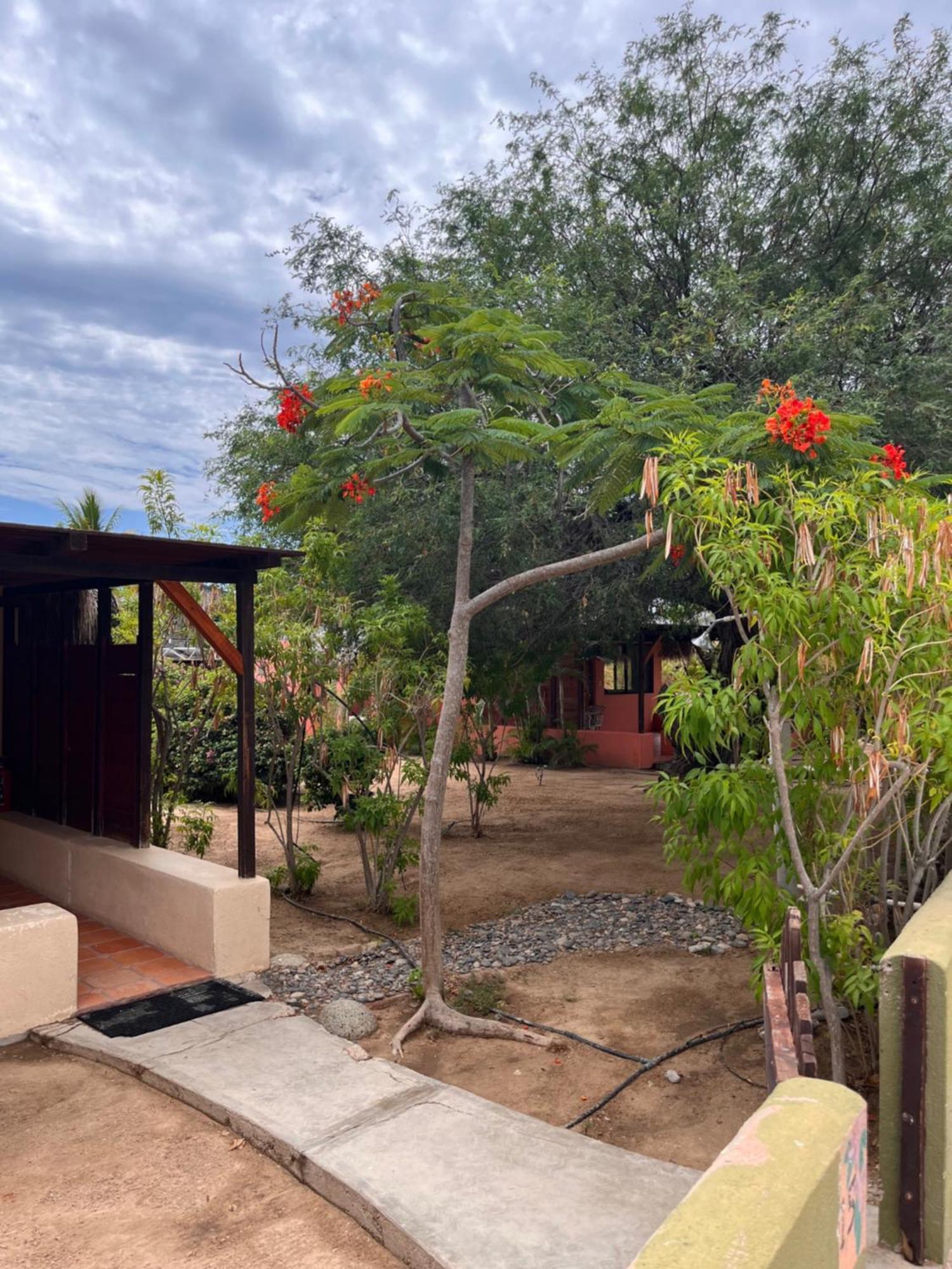 Cabo Pulmo Beach Resort Zewnętrze zdjęcie
